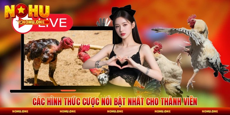 Các hình thức cược nổi bật nhất cho thành viên