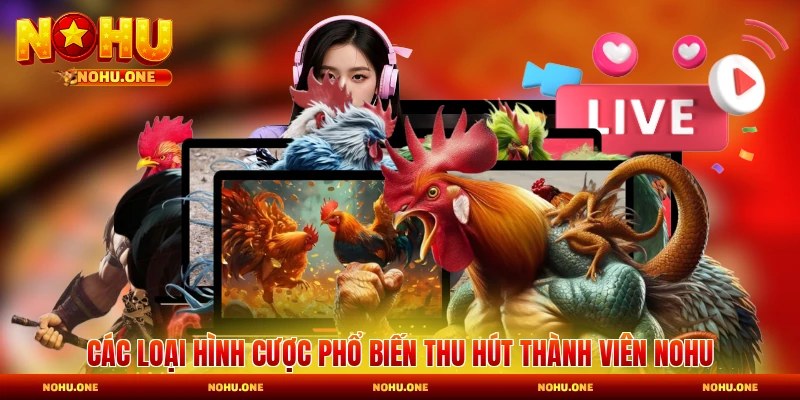 Các loại hình cược phổ biến thu hút thành viên