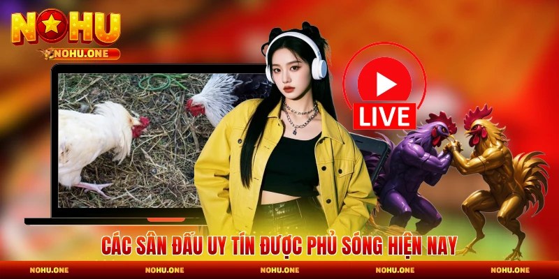 Các sân đấu uy tín được phủ sóng hiện nay