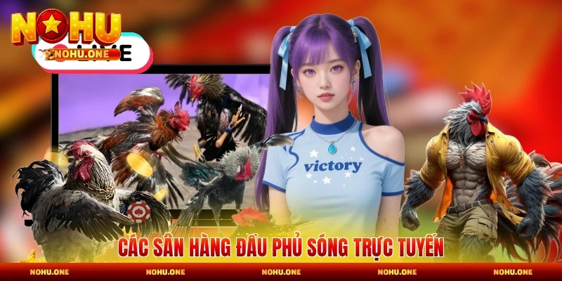 Các sân hàng đầu phủ sóng trực tuyến