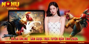 Đá Gà Online - Sân Cược Trực Tuyến Kịch Tính 2026