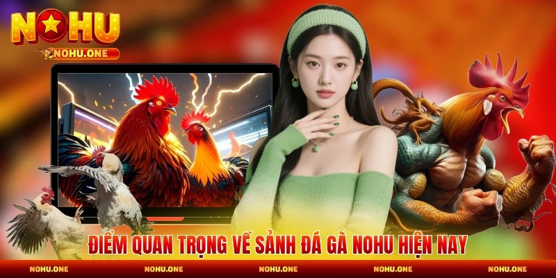 Điểm quan trọng về sảnh đá gà hiện nay
