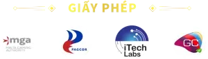giay-phep-nohu