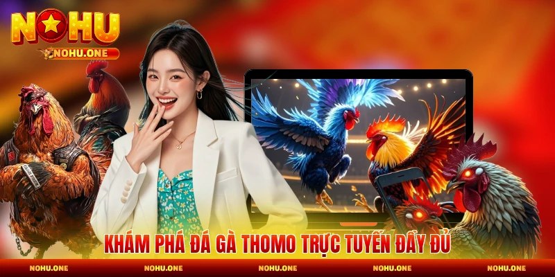 Khám phá đá gà Thomo trực tuyến đầy đủ