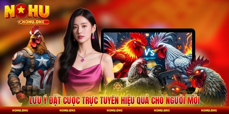 Lưu ý đặt cược trực tuyến hiệu quả cho người mới