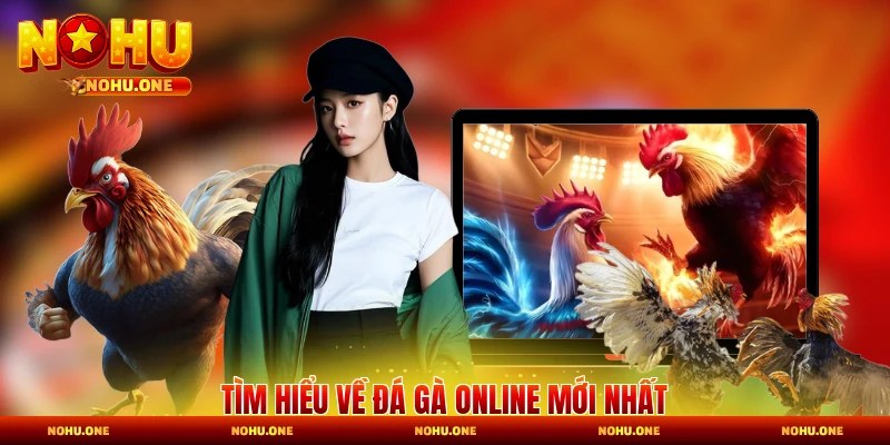 Tìm hiểu về đá gà online mới nhất
