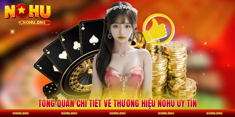 Tổng quan chi tiết về thương hiệu Nohu uy tín